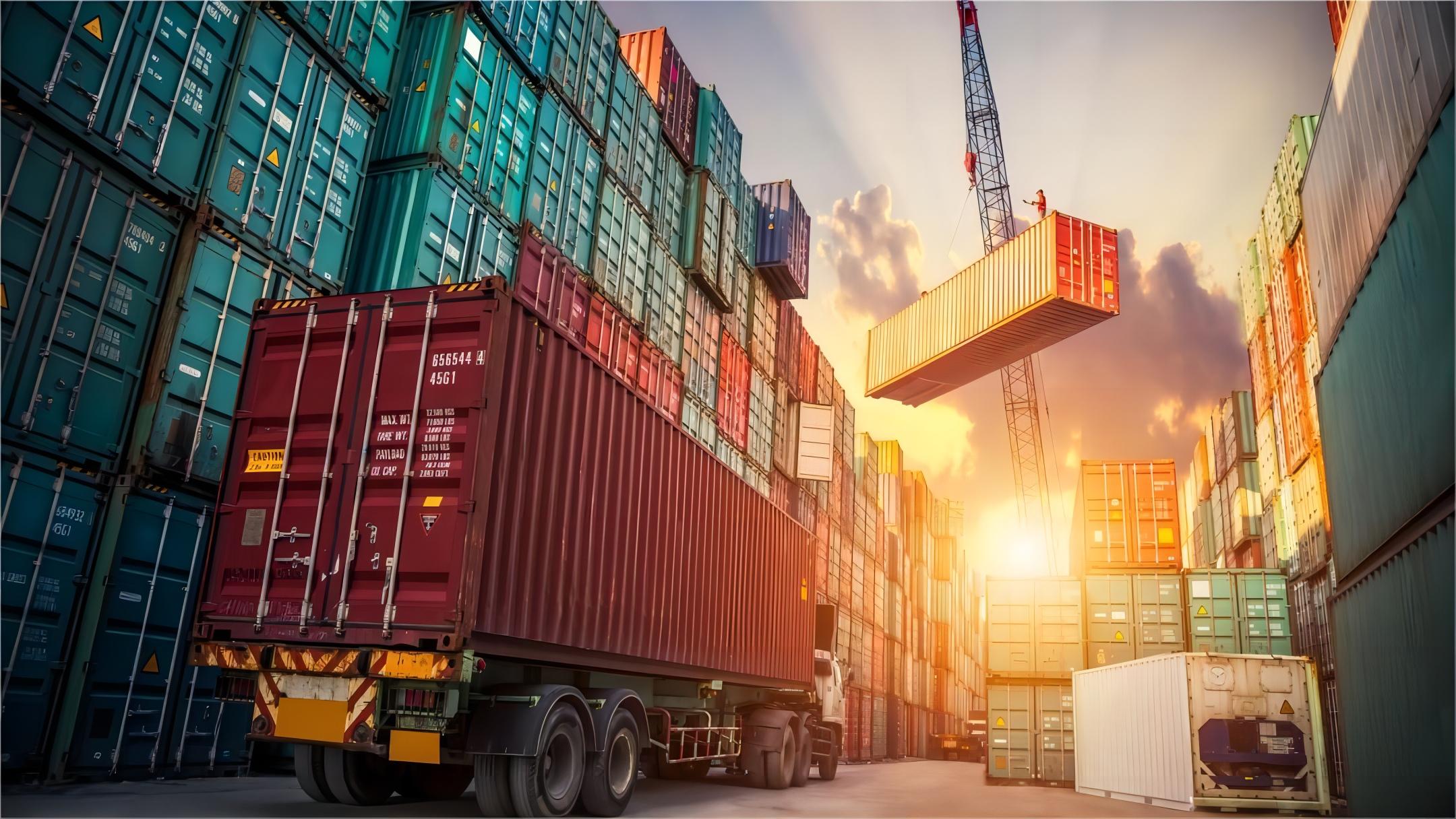 Logistics professional managing customs documentation for Netherlands import