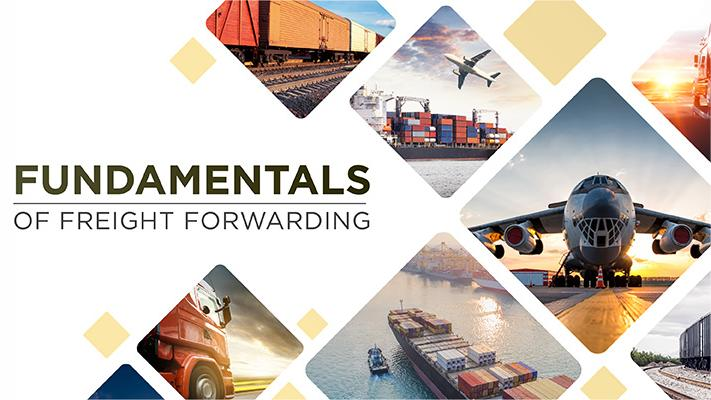 china australia shipping consultant